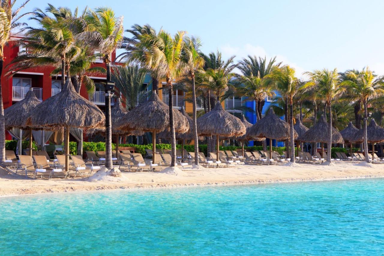 Espreguiçadeiras na areia, palmeiras e resort ao fundo em resorts em Curaçao