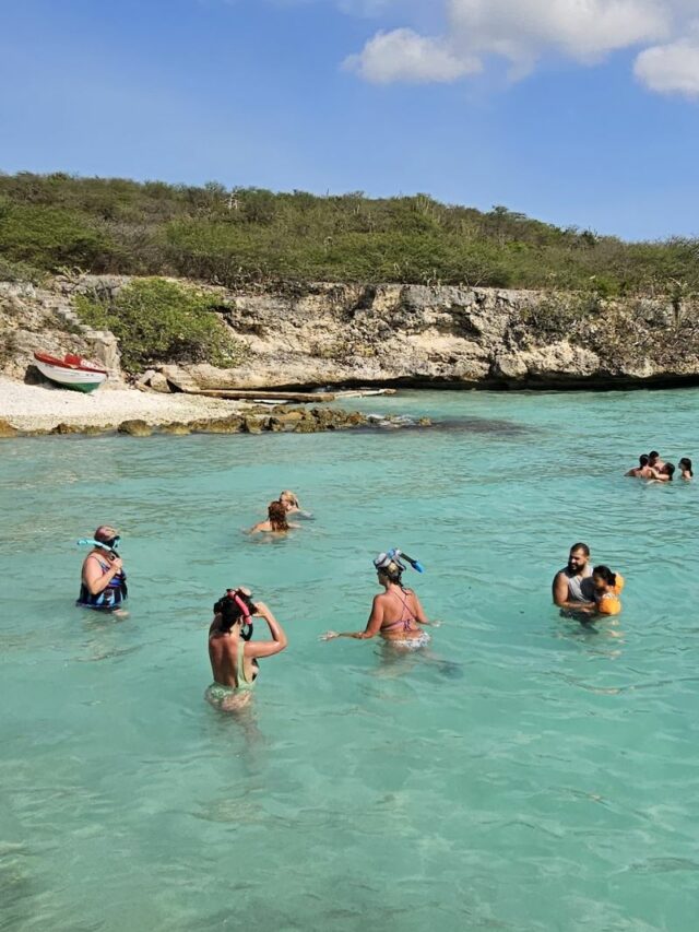 tem tubarão em Curaçao - Melhor de Curaçao