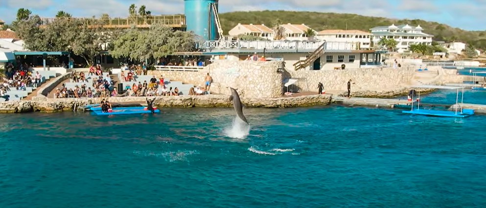 Aquário em Curaçao - Dicas de Curaçao